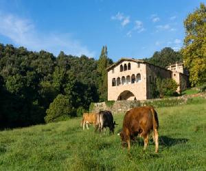 Hoteles en Vall de Bianya - Casa Rural El Callís