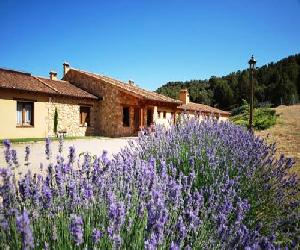 Hoteles en Peñasrubias de Pirón - Hotel Del Verde Al Amarillo