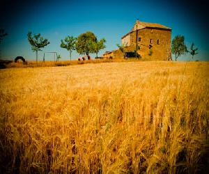 Hoteles en Biosca - Masia Manonelles