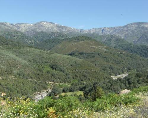 Casa Rural Las Atalayas - El Raso