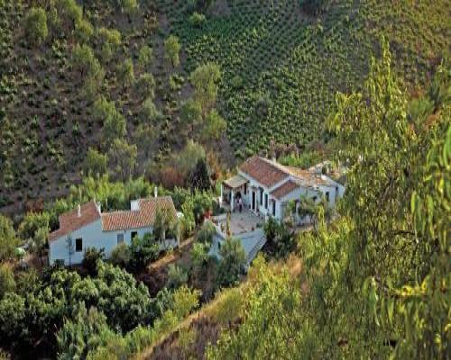 Cortijo Lagar de Luisa - Borge