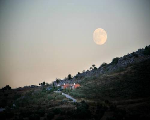 Cortijo Nuevo Alojamiento Rural - Cuevas del Becerro