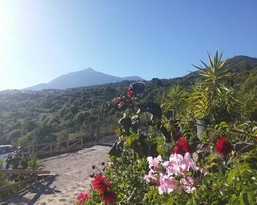 Ecolodge Tenerife - Genovés