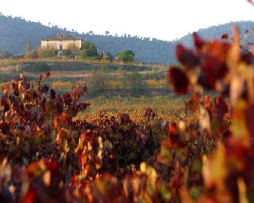 Mas Castell de Gimenelles - Sant Jaume dels Domenys