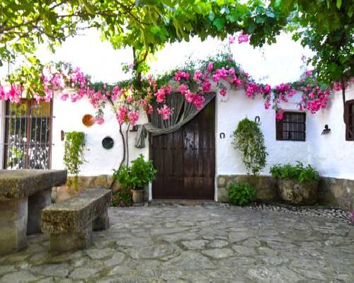 Cortijo La Gineta - Ermita Nueva