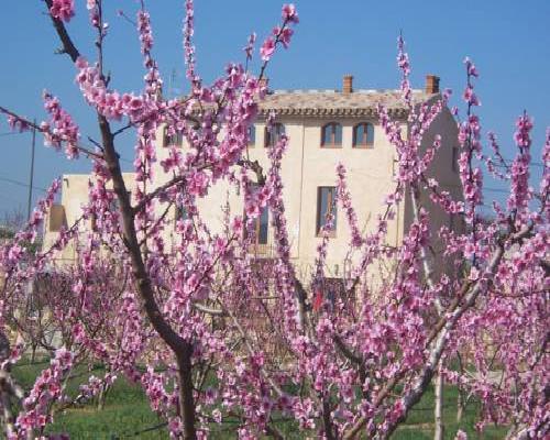 Mas Taniet Hotel Rural - Benissanet